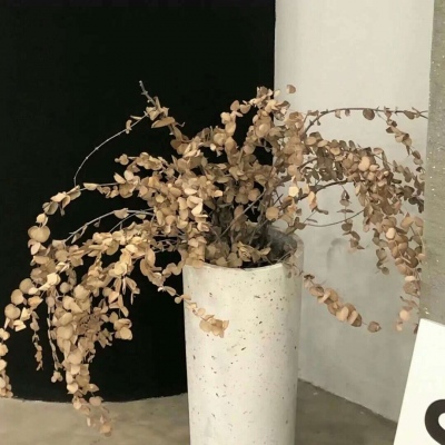 Furry插画元素设计技巧兽圈社群